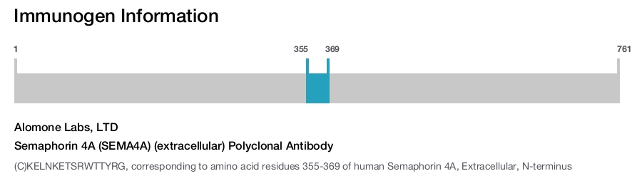 Semaphorin 4A (SEMA4A) (extracellular) Polyclonal Antibody