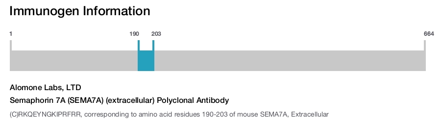 Semaphorin 7A (SEMA7A) (extracellular) Polyclonal Antibody