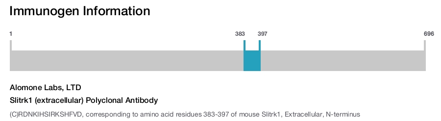 Slitrk1 (extracellular) Polyclonal Antibody
