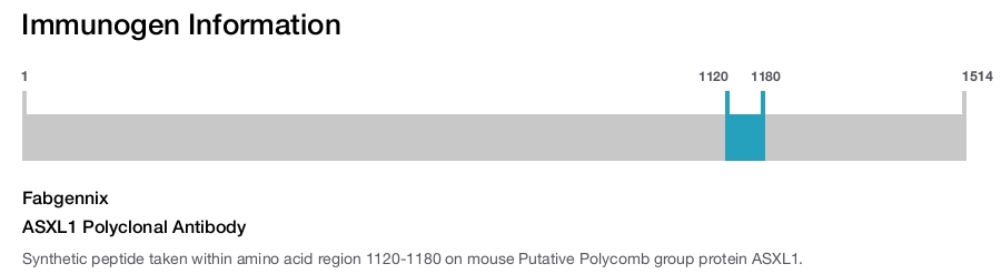 ASXL1 Polyclonal Antibody