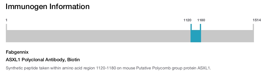 ASXL1 Polyclonal Antibody, Biotin