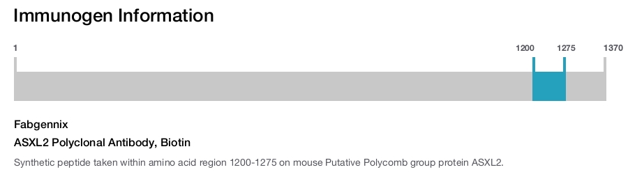 ASXL2 Polyclonal Antibody, Biotin