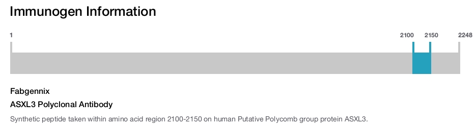 ASXL3 Polyclonal Antibody