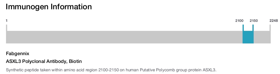 ASXL3 Polyclonal Antibody, Biotin