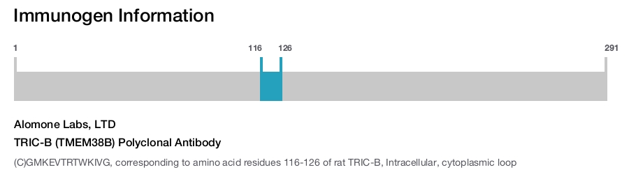 TRIC-B (TMEM38B) Polyclonal Antibody