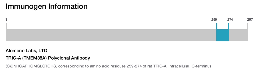 TRIC-A (TMEM38A) Polyclonal Antibody