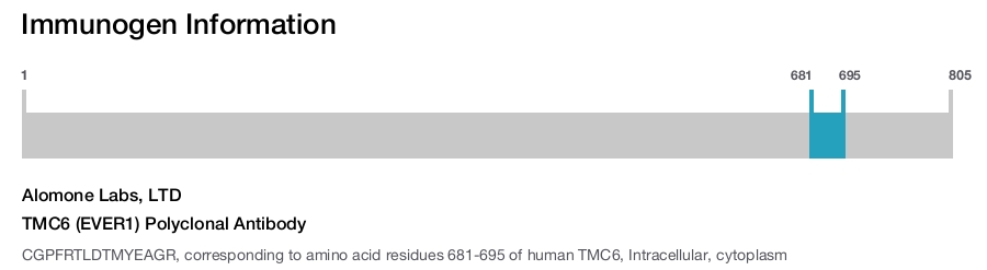 TMC6 (EVER1) Polyclonal Antibody