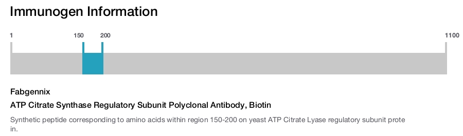 ATP Citrate Synthase Regulatory Subunit Polyclonal Antibody, Biotin