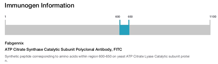 ATP Citrate Synthase Catalytic Subunit Polyclonal Antibody, FITC