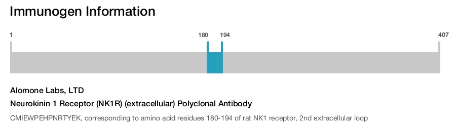 Neurokinin 1 Receptor (NK1R) (extracellular) Polyclonal Antibody