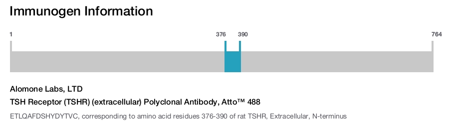 TSH Receptor (TSHR) (extracellular) Polyclonal Antibody, Atto™ 488