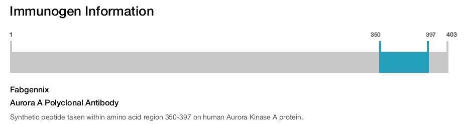 Aurora A Polyclonal Antibody