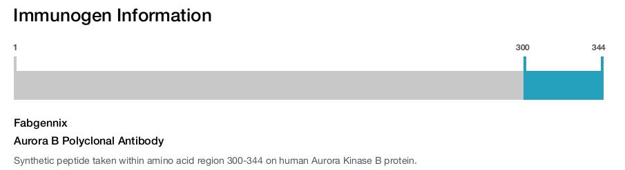 Aurora B Polyclonal Antibody