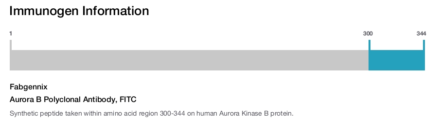 Aurora B Polyclonal Antibody, FITC
