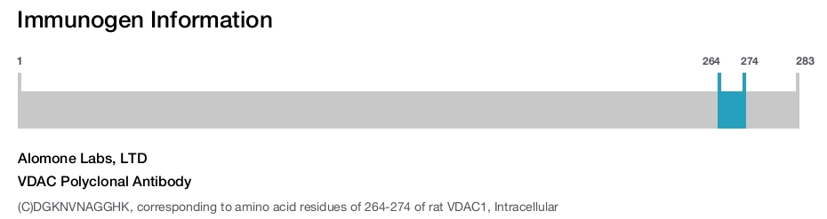 VDAC Polyclonal Antibody