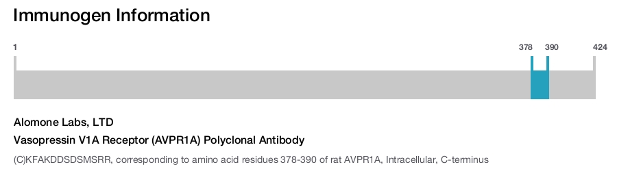 Vasopressin V1A Receptor (AVPR1A) Polyclonal Antibody