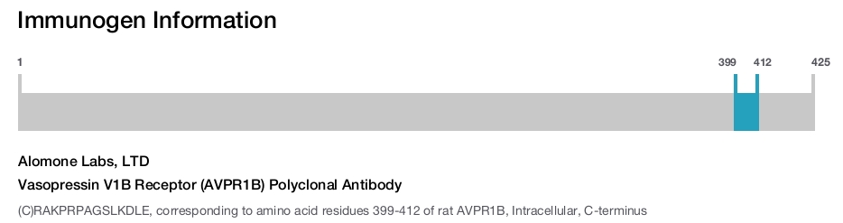 Vasopressin V1B Receptor (AVPR1B) Polyclonal Antibody