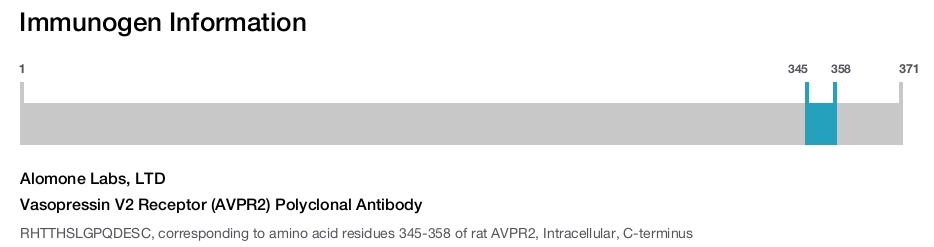 Vasopressin V2 Receptor (AVPR2) Polyclonal Antibody