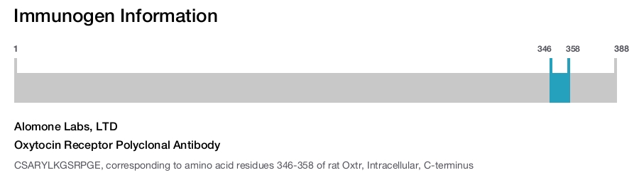 Oxytocin Receptor Polyclonal Antibody