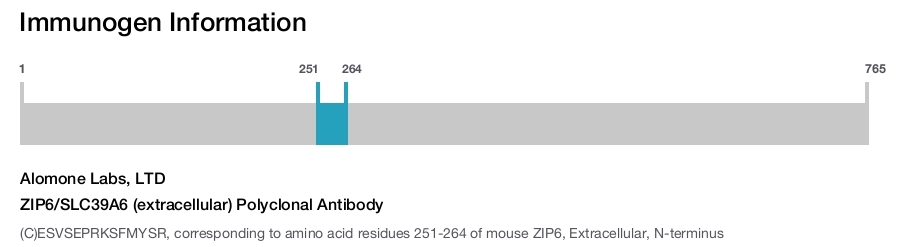 ZIP6/SLC39A6 (extracellular) Polyclonal Antibody