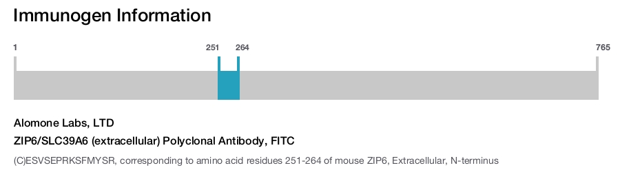 ZIP6/SLC39A6 (extracellular) Polyclonal Antibody, FITC