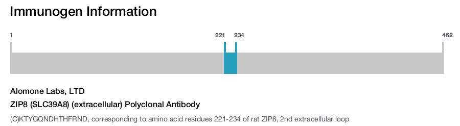 ZIP8 (SLC39A8) (extracellular) Polyclonal Antibody