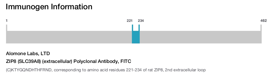 ZIP8 (SLC39A8) (extracellular) Polyclonal Antibody, FITC