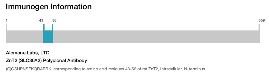 ZnT2 (SLC30A2) Polyclonal Antibody