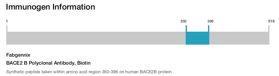 BACE2 B Polyclonal Antibody, Biotin