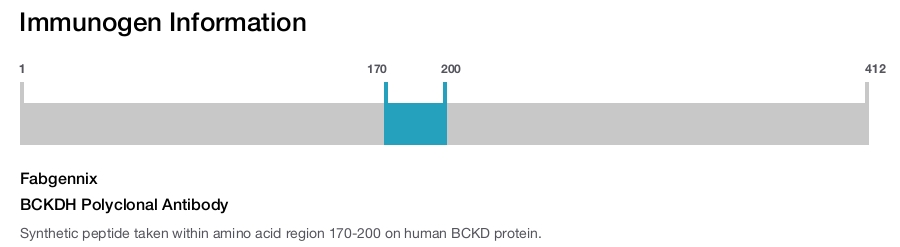 BCKDH Polyclonal Antibody
