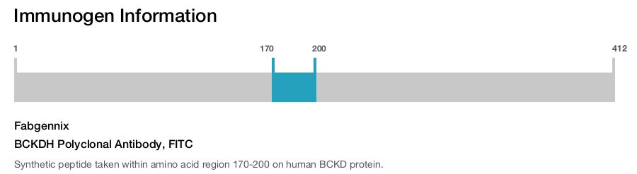 BCKDH Polyclonal Antibody, FITC