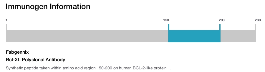 Bcl-XL Polyclonal Antibody