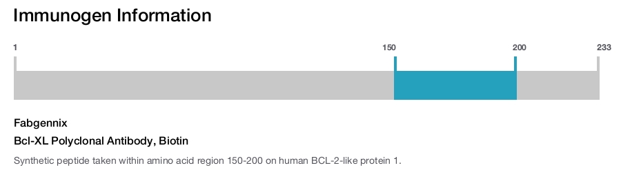 Bcl-XL Polyclonal Antibody, Biotin