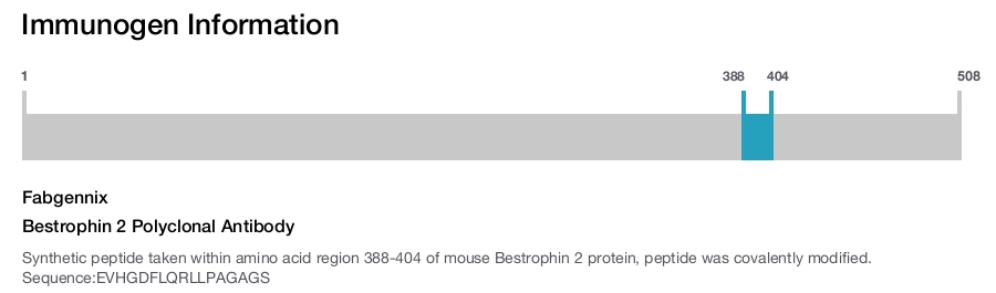 Bestrophin 2 Polyclonal Antibody
