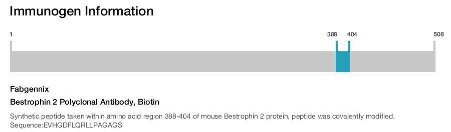 Bestrophin 2 Polyclonal Antibody, Biotin