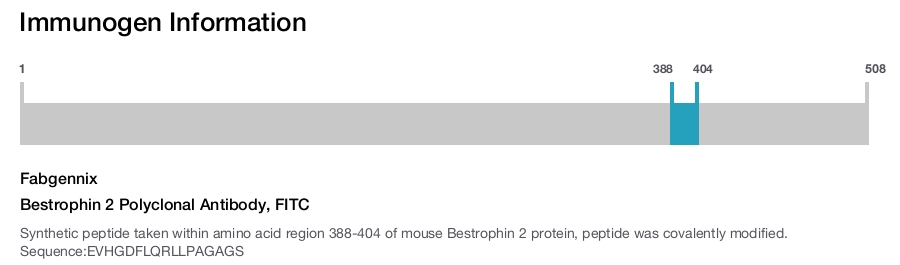 Bestrophin 2 Polyclonal Antibody, FITC