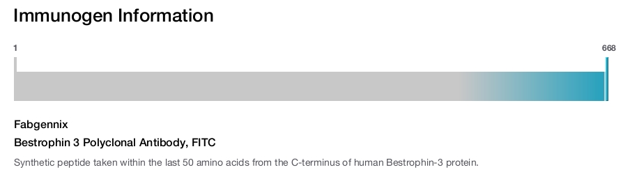 Bestrophin 3 Polyclonal Antibody, FITC