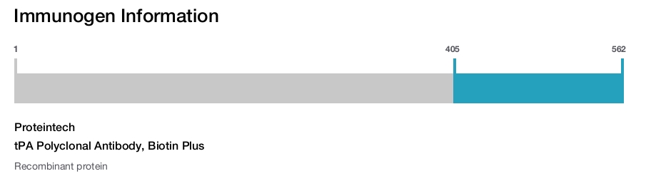 tPA Polyclonal Antibody, Biotin Plus