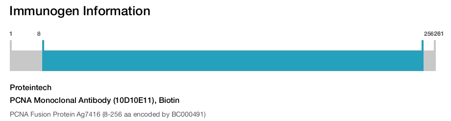 PCNA Monoclonal Antibody (10D10E11), Biotin