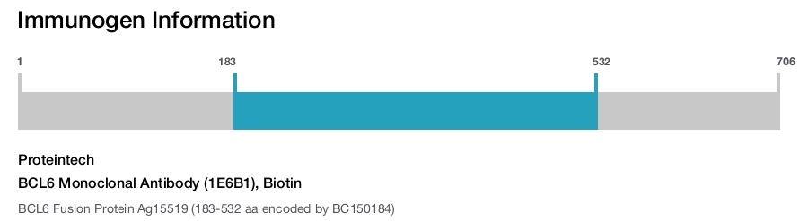 BCL6 Monoclonal Antibody (1E6B1), Biotin