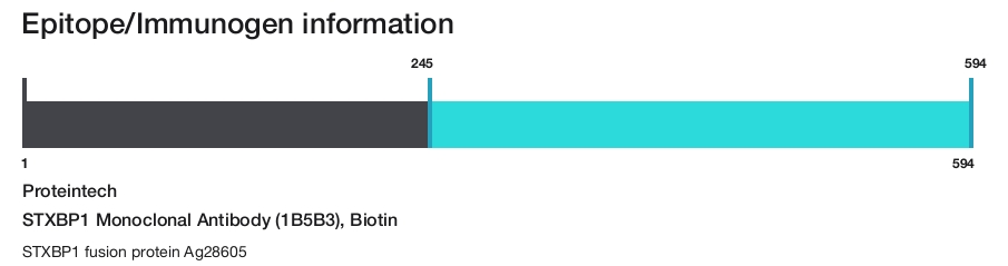 STXBP1 Monoclonal Antibody (1B5B3), Biotin