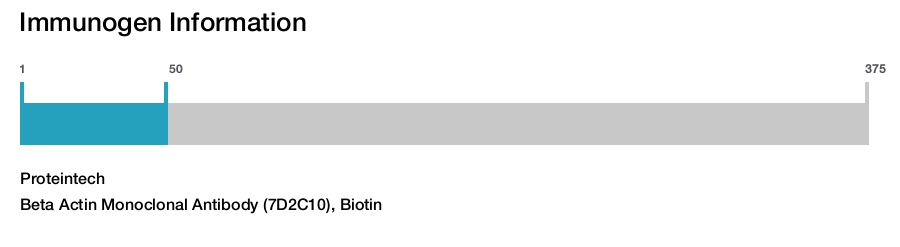Beta Actin Monoclonal Antibody (7D2C10), Biotin