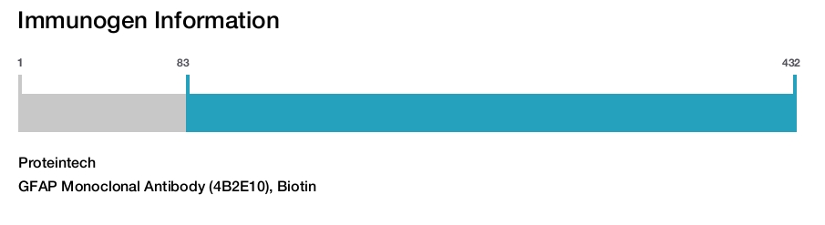 GFAP Monoclonal Antibody (4B2E10), Biotin