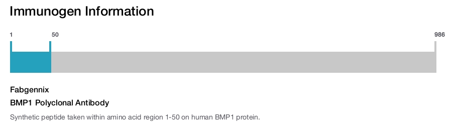 BMP1 Polyclonal Antibody