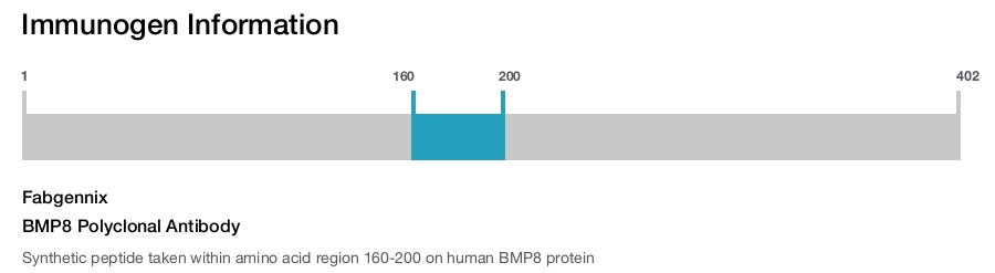 BMP8 Polyclonal Antibody