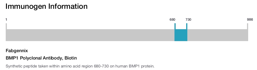 BMP1 Polyclonal Antibody, Biotin