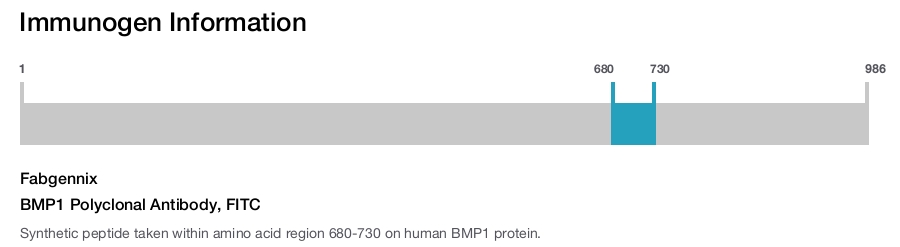 BMP1 Polyclonal Antibody, FITC