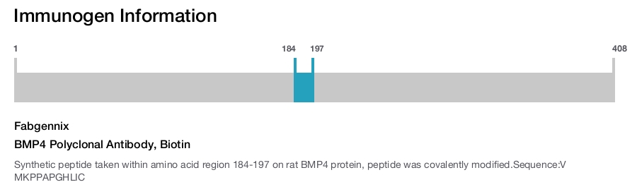 BMP4 Polyclonal Antibody, Biotin