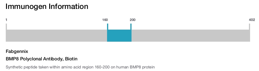 BMP8 Polyclonal Antibody, Biotin