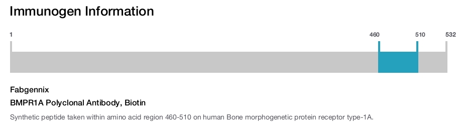 BMPR1A Polyclonal Antibody, Biotin